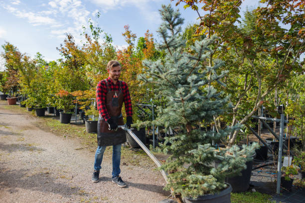 Best Weed Control  in Chevy Chase Heights, PA